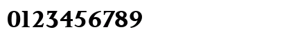 Palermo-Serial Bold Numeric Preview