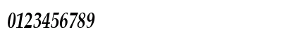 PalisadeCondensed Bold Italic Preview