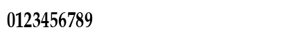 PalisadeCondensed Bold Numeric Preview