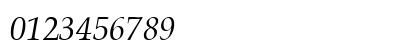 PalmSprings Italic Preview
