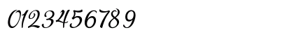 Pamega Script Regular Numeric Preview
