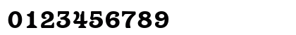 ParagonHeavy Regular Numeric Preview