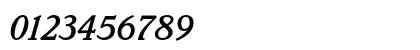 Parkinson MediumItalic Numeric Preview