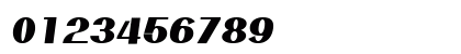 PassionSansPDar BlackItalic Numeric Preview