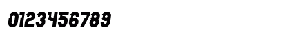 Password Book Italic Preview