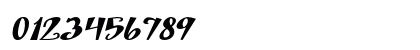 Penelopriss Bold Italic Numeric Preview