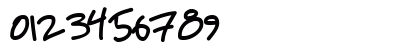 Petescript Medium Numeric Preview