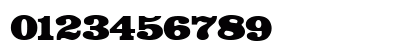 Petition Normal Numeric Preview