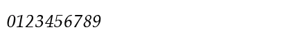 Pheasant Thin Italic Numeric Preview