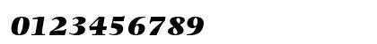 Photina MT Std Ultra Bold Italic Numeric Preview