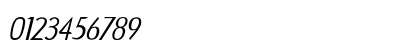 Pintop Expanded Italic Numeric Preview