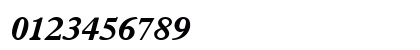 Terminus Black SSi Bold Italic Numeric Preview