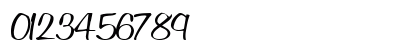 Positive Regular Numeric Preview
