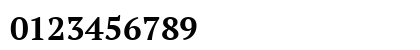 PT Serif Bold Preview