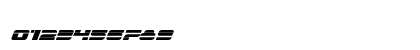 Quicken Italic Italic Preview