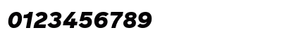 Reader Pro Black Italic Numeric Preview