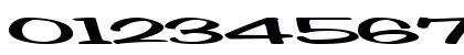 ReCallComplete Regular Numeric Preview