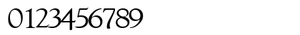 Return Regular Numeric Preview
