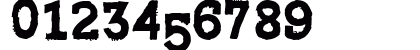 Riot Ton Regular Numeric Preview