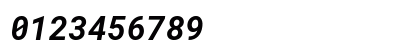 RobotoMono Nerd Font Bold Italic Preview