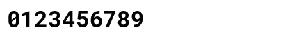RobotoMono NF Bold Preview