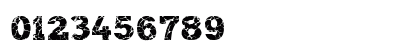 ROCK-ON Demo Regular Numeric Preview