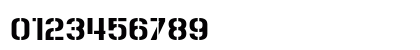 Roll Accurate Regular Numeric Preview