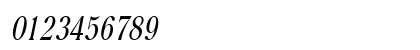 Roomy-Condensed Italic Numeric Preview