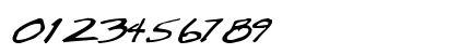 RoughRiderType60 Regular Numeric Preview