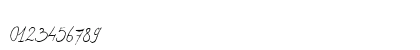 Salvat Study Regular Numeric Preview