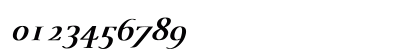 SanDiego Bold Italic Numeric Preview