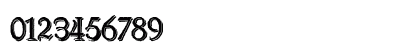 Schneider Buch Deutsch Shadow Two Regular Preview
