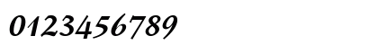 Schneidler Bold Italic Numeric Preview