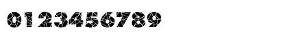 Shatter Regular Preview