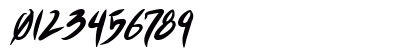 Shin Akiba Punx Bold Italic Numeric Preview