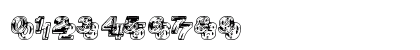 Siamese Twins Regular Numeric Preview