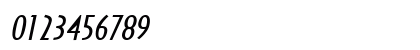 Southwestern-Extended Bold Italic Preview