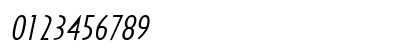 Southwestern-Extended Italic Preview