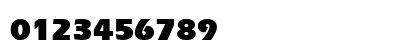SpeedoBlackSSK Bold Preview