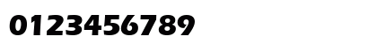 SpeedoBlackSSK Normal Preview
