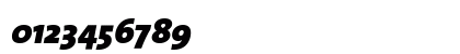The Sans Black- Black Italic Preview
