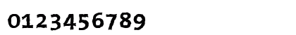 The Sans Typewriter- Bold Numeric Preview