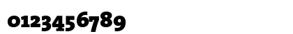 The Serif Black- Black Plain Numeric Preview