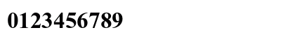 Times New Roman PS Bold Numeric Preview