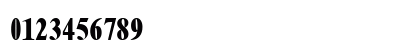 TimesNueveCond Bold Numeric Preview