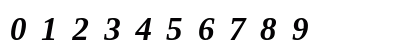 Tinos NF Bold Italic Numeric Preview