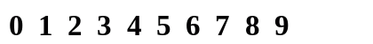 Tinos NF Bold Numeric Preview