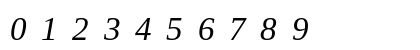 Tinos Nerd Font Mono Italic Numeric Preview
