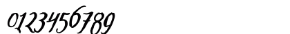 Tipbrush Script 2 Slanted Italic Numeric Preview