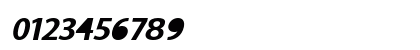 Tottenham Bold Italic Preview
